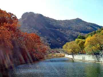 澳门二四六天天彩图库，机油之家